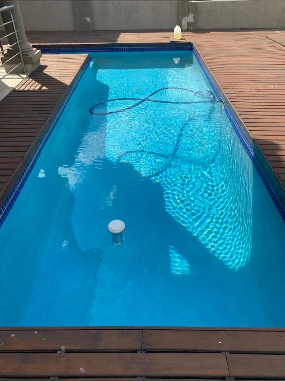Pool Deck & Surrounds